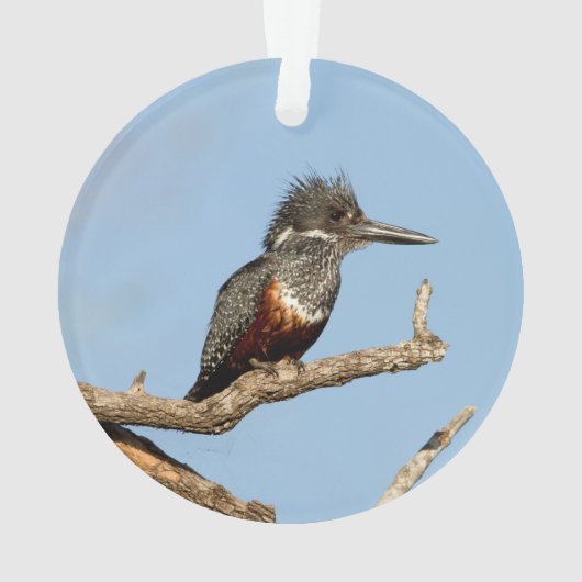 Giant Kingfisher Ornament (achterkant)