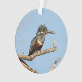 Giant Kingfisher Ornament (voorkant)