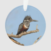 Giant Kingfisher Ornament (voorkant)