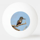 Giant Kingfisher Pingpongbal (Voorkant)