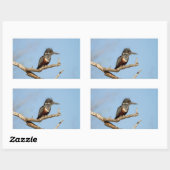 Giant Kingfisher Rechthoekige Sticker (Vel)