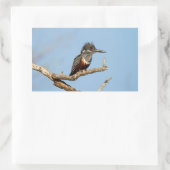 Giant Kingfisher Rechthoekige Sticker (Tas)
