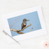 Giant Kingfisher Rechthoekige Sticker (Envelop)