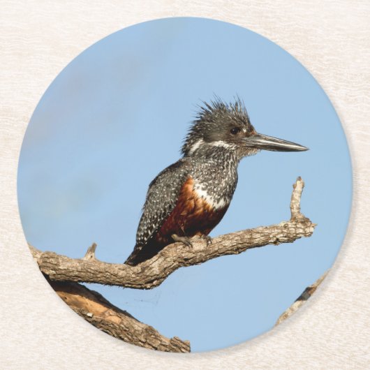 Giant Kingfisher Ronde Kartonnen Onderzetter (Voorkant)