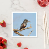Giant Kingfisher Servet (Insitu)