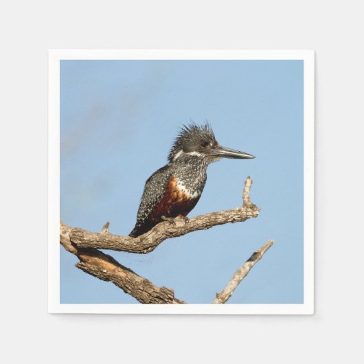 Giant Kingfisher Servet (Voorkant)