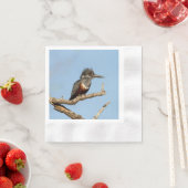 Giant Kingfisher Servet (Insitu)