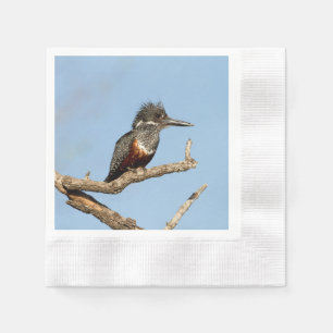 Giant Kingfisher Servet