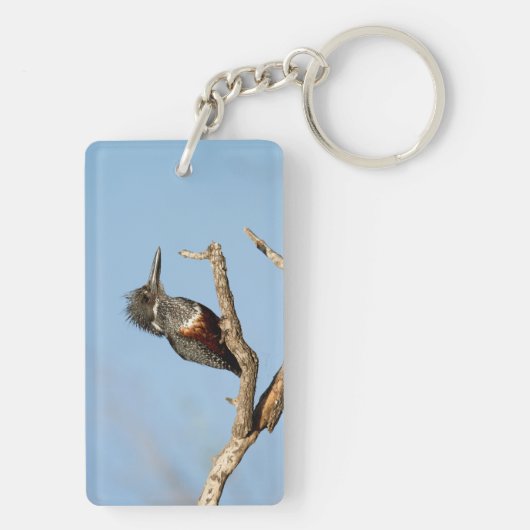 Giant Kingfisher Sleutelhanger (achterkant)