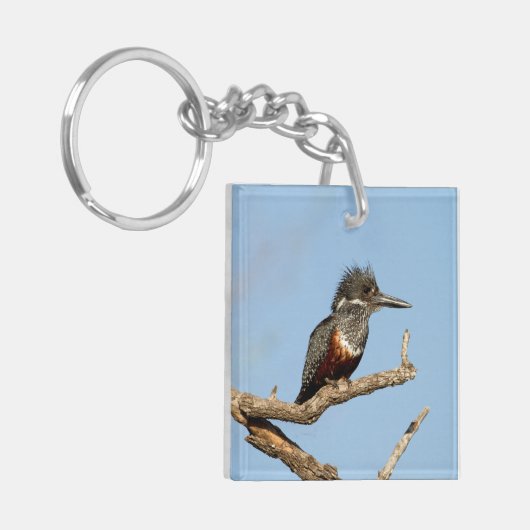 Giant Kingfisher Sleutelhanger (Voorkant Links)