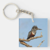 Giant Kingfisher Sleutelhanger (Voorkant)