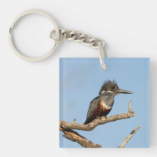 Giant Kingfisher Sleutelhanger (Voorkant)