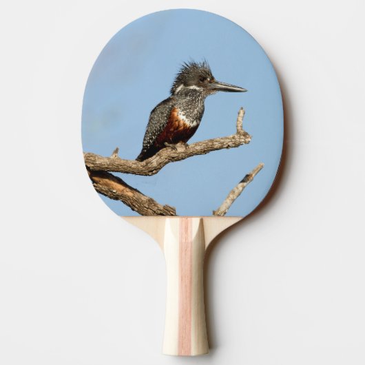 Giant Kingfisher Tafeltennisbatje (Achterkant)