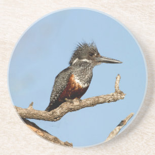 Giant Kingfisher Zandsteen Onderzetter