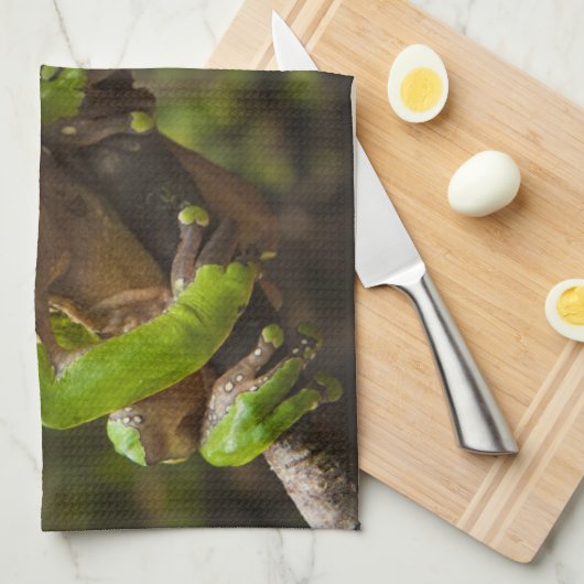Giant leaf frog Phyllomedusa bicolor Theedoek (Quarter Fold)