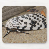 Giant Leopard Moth Muismat (Voorkant)