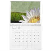 Giant Lily Pads 2013 Kalender (Feb 2026)