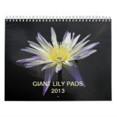 Giant Lily Pads 2013 Kalender (Hoes)