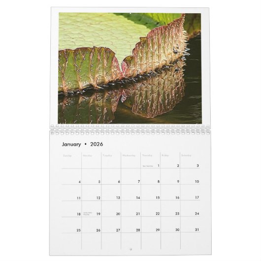 Giant Lily Pads 2013 Kalender (Jan 2026)