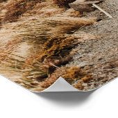 Giant Lion vs Man - Motivatie successcore Poster (Hoek)