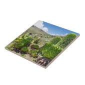 Giant Lobelia (Lobelia deckenii) op de berg Kenia Tegeltje (Zijkant)