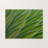 Giant Lobelia (Lobelia telekii) | Kenia, Afrika Legpuzzel (Horizontaal)