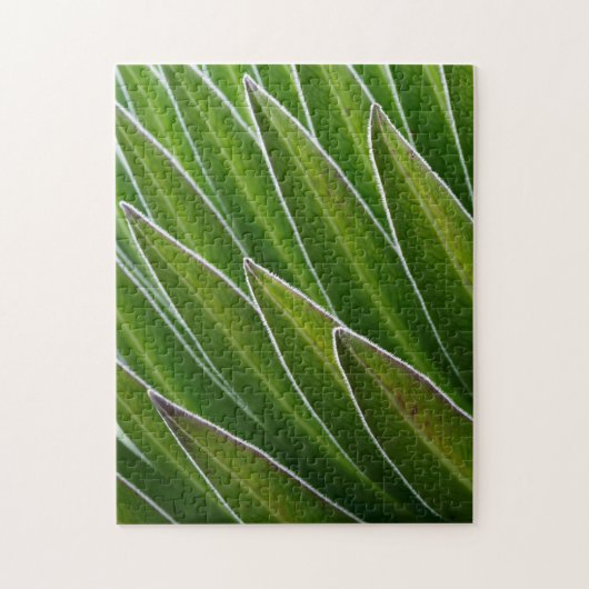 Giant Lobelia (Lobelia telekii) | Kenia, Afrika Legpuzzel (Verticaal)