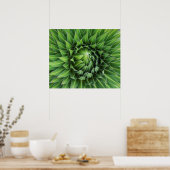 Giant Lobelia | Nationaal park Mount Kenya, Kenia Poster (Keuken)