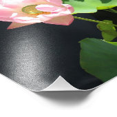 Giant Lotus Flower foto Afdruk (Hoek)