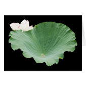Giant Lotus Leaf met Bloom (Voorkant Horizontaal)