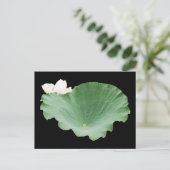 Giant Lotus Leaf met Bloom Briefkaart (Staand voorkant)
