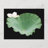 Giant Lotus Leaf met Bloom Briefkaart (Voorkant)