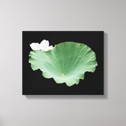 Giant Lotus Leaf met Bloom Canvas Afdruk (Voorkant)