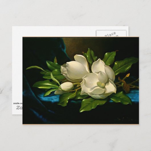 Giant Magnolia op een blauwe vlinderdoek Briefkaart (Voorkant / Achterkant)