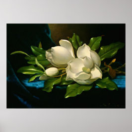 Giant Magnolia op een blauwe vlinderdoek Poster