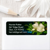 Giant Magnolias Martin Johnson Heade Fine Art Etiket (Insitu)