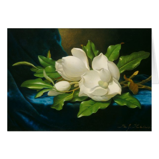 Giant Magnolias on a Blue Velvet Cloth, c.1890 (oi (Voorkant Horizontaal)