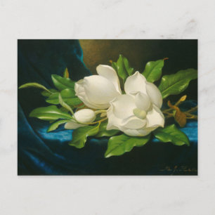 Giant Magnolias on a Blue Velvet Cloth, c.1890 (oi Briefkaart