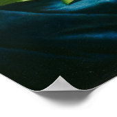 Giant Magnolias on a Blue Velvet Cloth, c.1890 (oi Poster (Hoek)