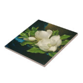 Giant Magnolias on a Blue Velvet Cloth, c.1890 (oi Tegeltje (Zijkant)