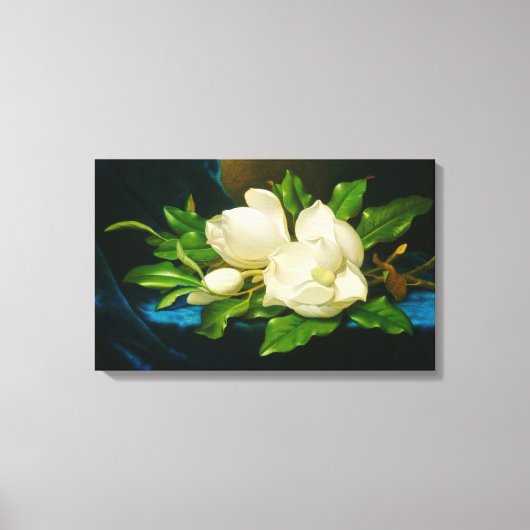 Giant Magnolias op een blauw fluwelen doek (Heade) Canvas Afdruk (Voorkant)