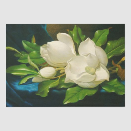 Giant Magnolias op een blauw fluwelen doek (Heade) Tissuepapier (Voorkant)