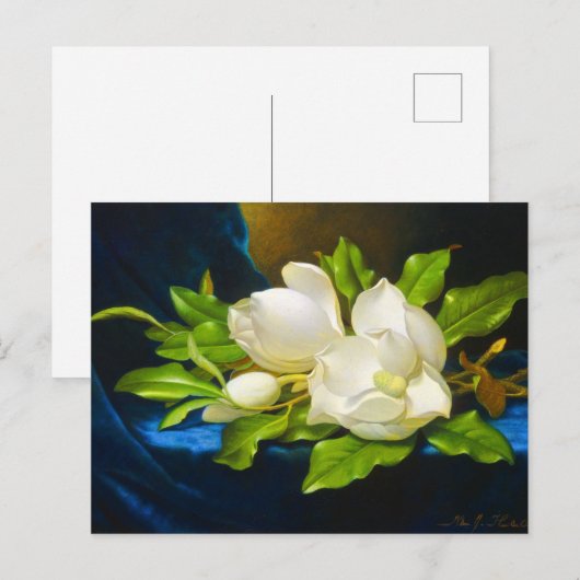 Giant Magnolias op een blauw Velvet Canvas Briefkaart (Voorkant / Achterkant)