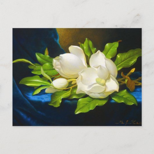 Giant Magnolias op een blauw Velvet Canvas Briefkaart (Voorkant)