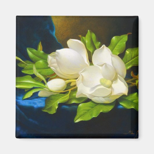 Giant Magnolias op een blauw Velvet Canvas Magneet (Voorkant)