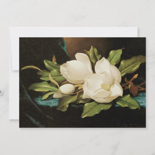 Giant Magnolias op een blauwe vlinderkast van MJ H (Voorkant)