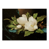 Giant Magnolias op een blauwe vlinderkast van MJ H (Voorkant Horizontaal)