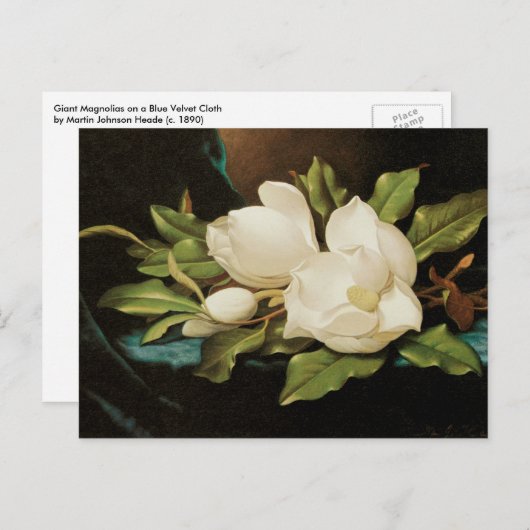 Giant Magnolias op een blauwe vlinderkast van MJ H Briefkaart (Voorkant / Achterkant)