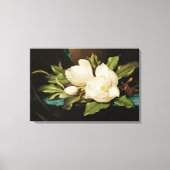 Giant Magnolias op een blauwe vlinderkast van MJ H Canvas Afdruk (Voorkant)