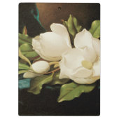 Giant Magnolias op een blauwe vlinderkast van MJ H Klembord (Achterkant)